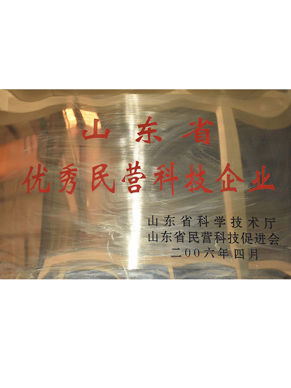 山東省優秀民營科技企業